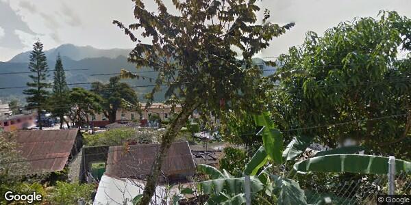 DEPARTAMENTO DE ECOLOGÍA